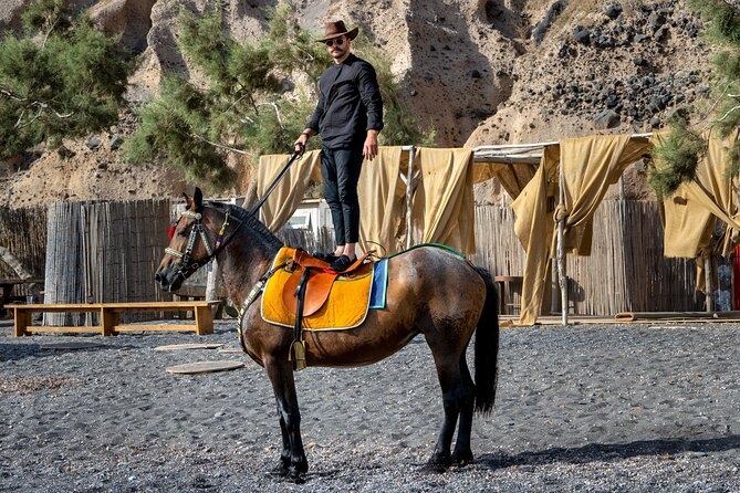 Santorini: Ride a Donkey or a Horse through Volcanic landscapes - Donkey or horse through volcanic terrain: what to expect on the trail