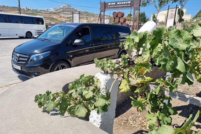 Santorini's "Wine Roads": Wine Tasting Tour at 3 Wineries - Key highlights before you go