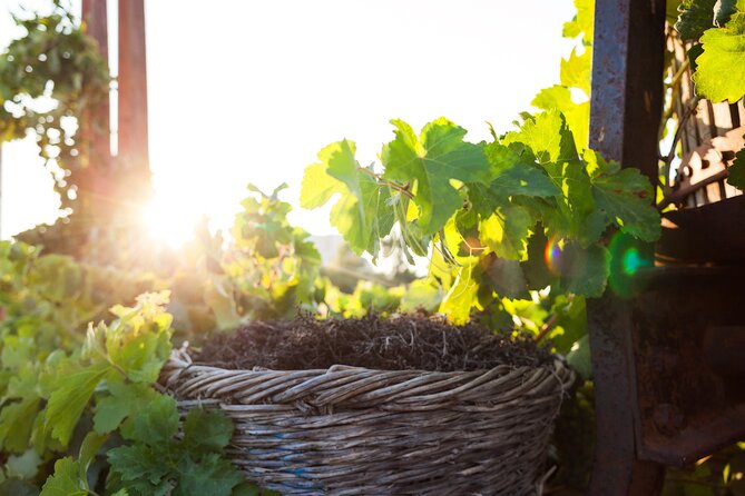 Santorini's "Wine Roads": Wine Tasting Tour at 3 Wineries - How the Santorini Wine Roads half-day tour is built