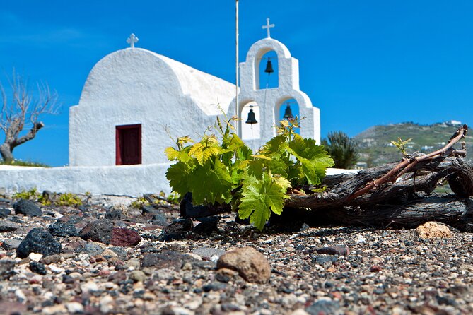 Santorini's "Wine Roads": Wine Tasting Tour at 3 Wineries - Price and value: is $181.39 per person worth it?