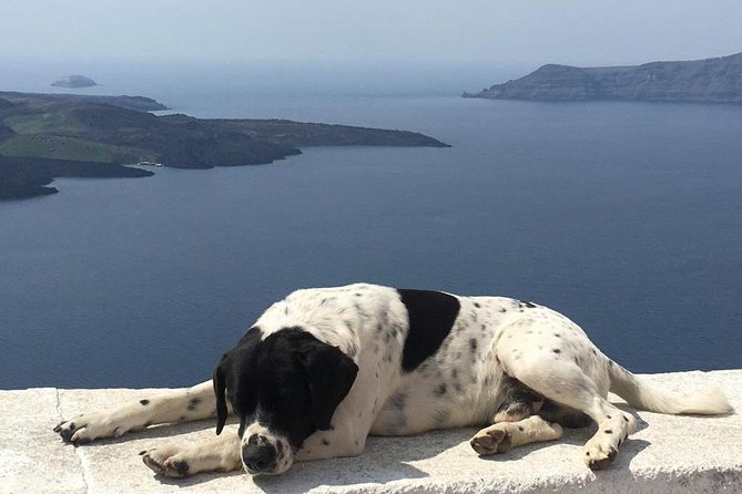 Santorini Secrets - Private 3-8hr Highlights Tour - Firostefani, Crown of Fira Views, Blue Domes, and the Volcano