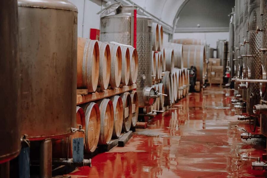 Santorini: Semi- Private wine tour - Through the grapevine - The tasting format: 12 labels plus local meze-style bites