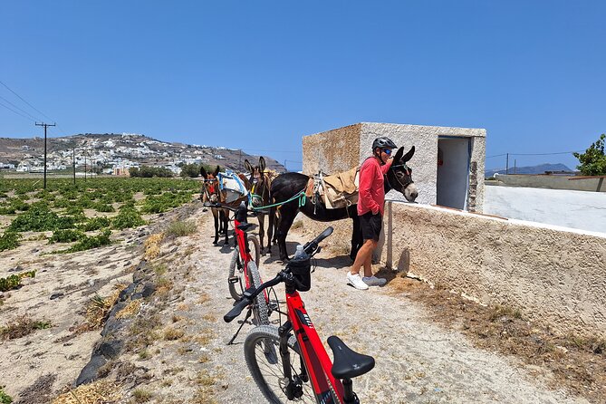 Santorini Small Group Guided E-bike Tour & Local Tomato Museum - Megalochori traditional village: a cultural pause with snacks
