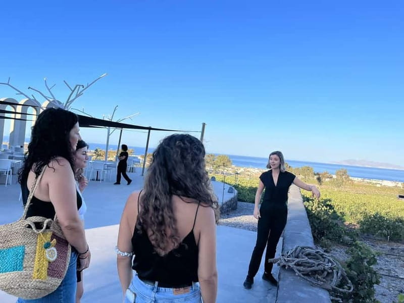 Santorini: Small Group Tour of 3 Local Wineries - Price check: does $218 feel fair for Santorini?
