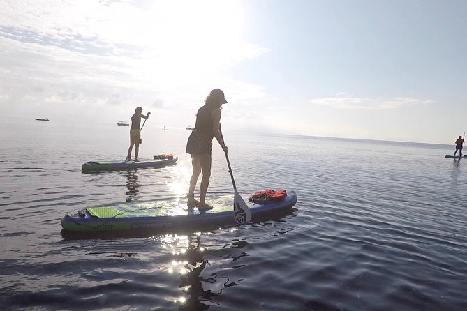 Santorini Stand-Up Paddle and Snorkel Adventure - The lesson and safety setup: life jackets, calm coaching, and rescue nearby