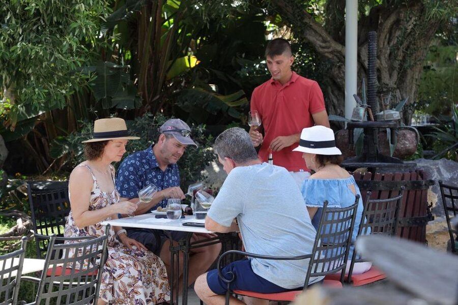 Santorini: Tour of Wineries with Wine Tasting & Food - Winery stop 1: photo moment, cellar-style touring, and early tastings