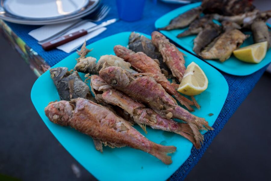 Santorini: Traditional Fishing Trip and Fresh Fish Lunch - Who this suits best, and who might prefer a different plan