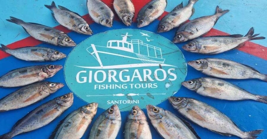 Santorini: Traditional Fishing Trip and Fresh Fish Lunch - A traditional fishing trip that actually feels local