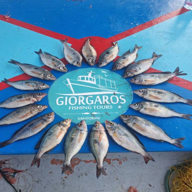 Santorini: Traditional Fishing Trip and Fresh Fish Lunch - What the price covers, and why it can still be good value