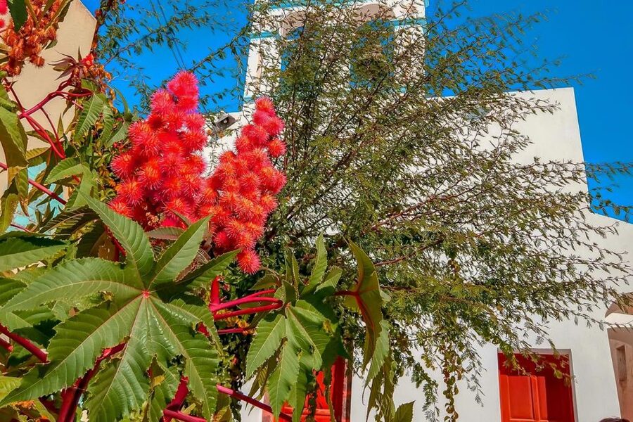 Santorini: Traditional Sightseeing Bus Tour with Oia Sunset - Emporio village and its fortress feel