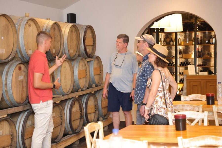 Santorini: Vineyard and Winery Tour with Cooking Class - A 4-Hour Mix of Santorini Wine and Stove-Side Cooking