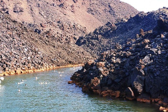 Santorini Volcanic Islands Cruise: Volcano, Hot Springs and Thirassia - Stop 2, Nea Kameni Lava Islet Walk: Another Step Into Real Volcanism