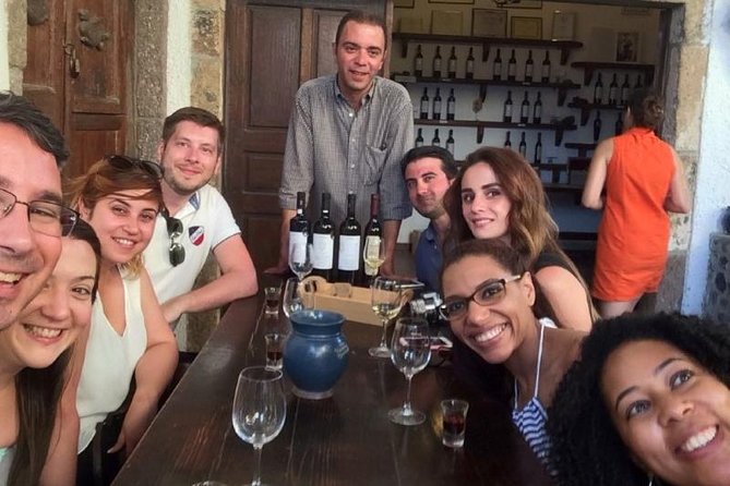 Santorini Wine Adventure with 12 Wine Tastings, Tapas and Sunset - Estate Argyros: vineyard views and a classic first impression