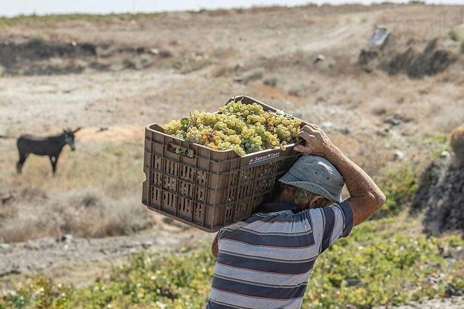 Santorini Wine Experience: 3 Wineries, 12 Tastings & Sunset view - A half-day plan that makes Santorini wine make sense