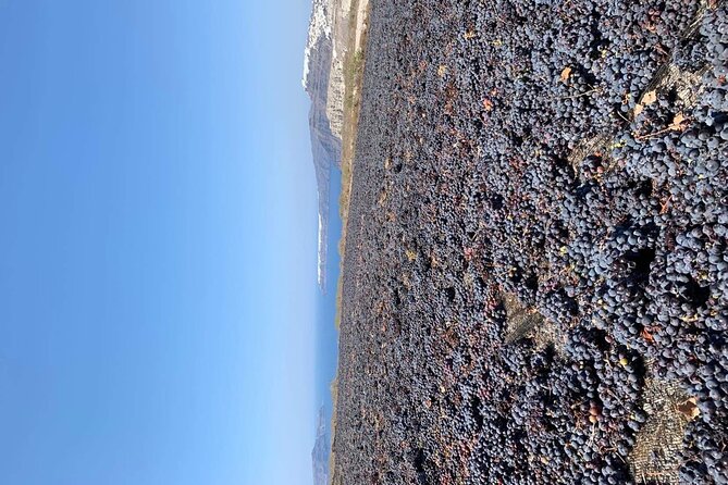 Santorini Wine Experience: 3 Wineries, 12 Tastings & Sunset view - The tastings and local bites, what to expect in your glass and on your plate