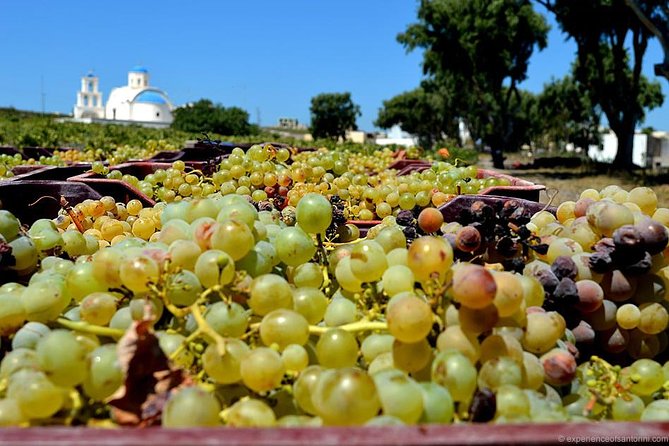 Santorini wine roads Half day - Half-Day Plan: How 5 Hours Covers Hilltops, Wineries, and Oia
