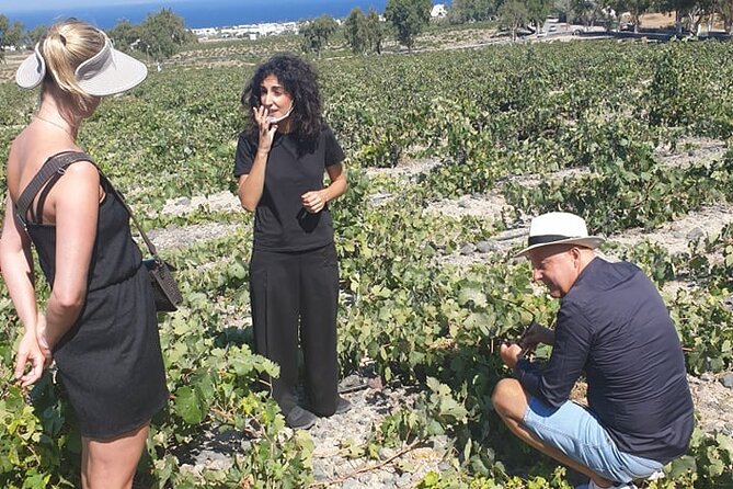 Santorini Wine Secrets - Stop 2: Estate Argyros, a Top Name and a Three-Wine Tasting