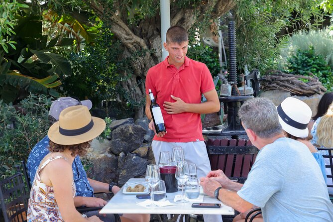 Santorini Wine Stories: Daytime Tour with Tasting & Lunch - Meeting at 10:30 and Getting You Started Smoothly