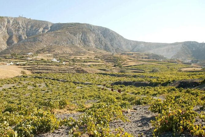Santorini Wine Tasting: Day or Sunset Private Tour - Stop 1: Gaia Winery (or Anhydrous) and your first flight with pairing snacks