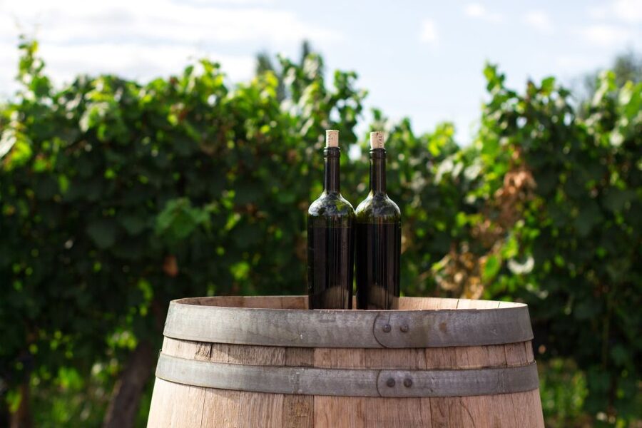 Santorini: Wine Tasting Tour with 12 Tastings and Snacks - What you should bring, wear, and plan for