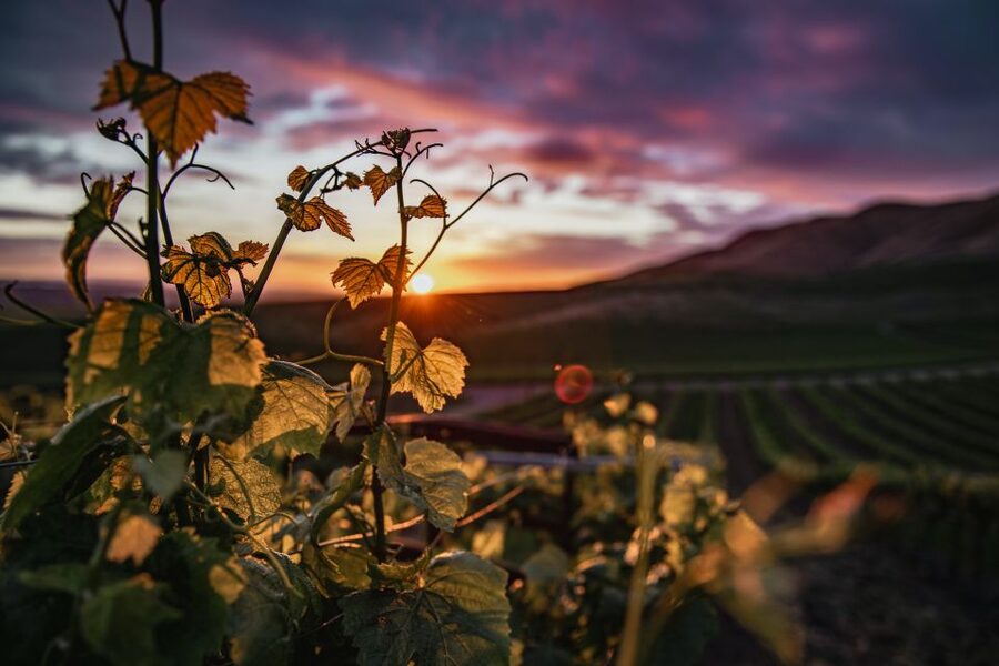 Santorini: Wine Tasting Tour with 12 Tastings and Snacks - Is it worth $235 for 4 hours with 12 tastings?