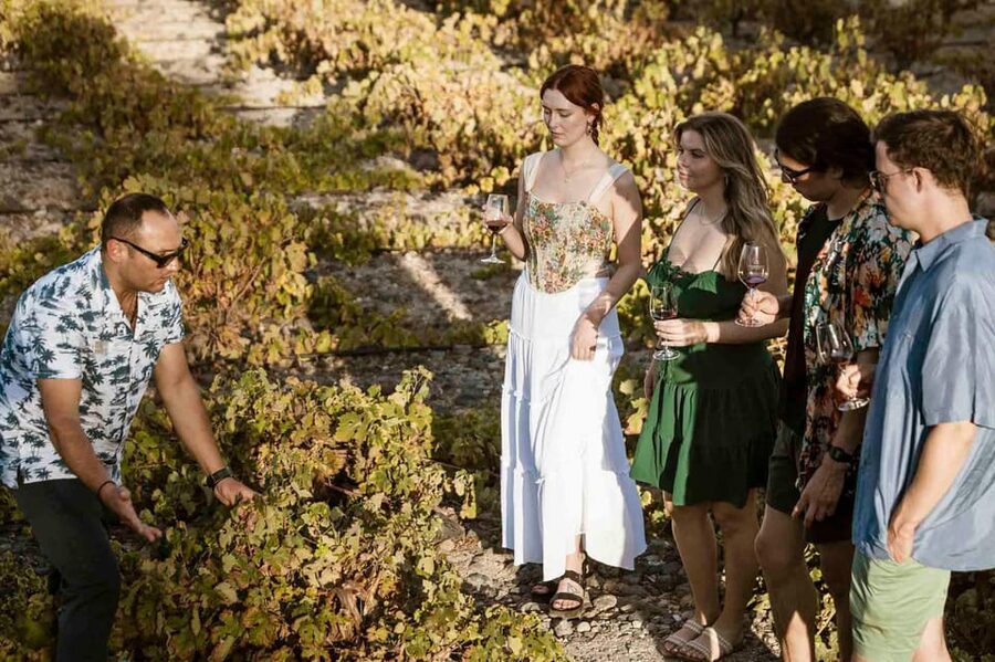 Santorini: Wine Tasting Tour with Snacks - Pickup and Transportation: Less Hassle, More Tasting Time