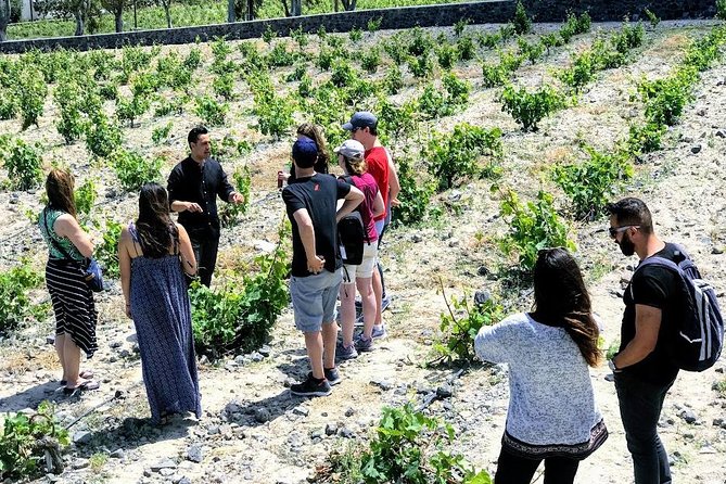 Small Group Santorini Winery Tour - Price and Value: What $191.57 Buys You in Real Time
