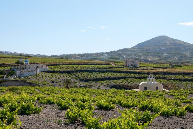 Terroir Santorini – Volcanic Heritage & Wine Experience - Why this Santorini wine tour works as a “best of” day