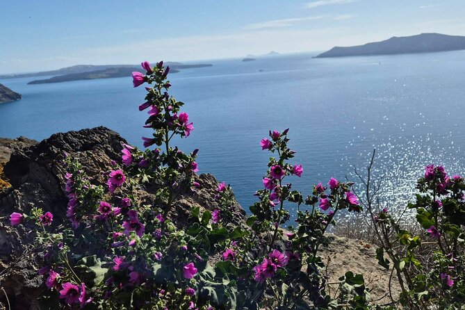 Terroir Santorini – Volcanic Heritage & Wine Experience - Red Beach photos: quick stop, high visual payoff