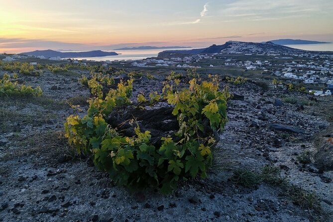 Terroir Santorini – Volcanic Heritage & Wine Experience - Profitis Ilias Monastery and Pyrgos: views plus a taste of island life