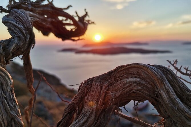 Terroir Santorini – Volcanic Heritage & Wine Experience - Santo Winery: four wines, Cycladic pairings, and the kouloura vine system