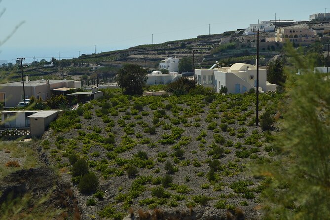 The Whole 9 Yards Full-Day Small-Group Tour of Santorini - Stop 1: Prophet Elias Monastery for sky-high views and island traditions