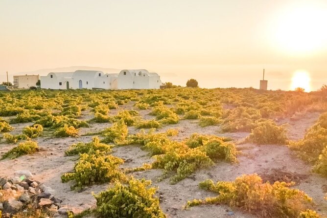 Traditional Villages & Ancient Akrotiri Private Tour - The fast case for a private 5-hour Santorini loop