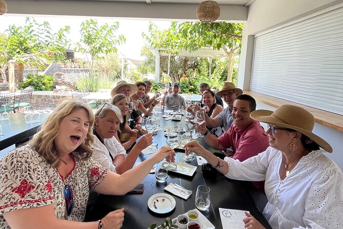 Wine Tasting and Traditional Feast at Greek Taverna in Pyrgos! - Estate Argyros: 1903 roots and a vineyard walk that changes how you taste