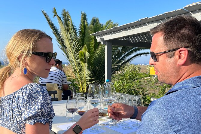 Wine Tasting and Traditional Feast at Greek Taverna in Pyrgos! - Price check: what $665.11 buys you, and what you still pay for
