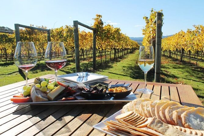 Wine tour and private cooking class 6 hours - Key Things You Should Know Before You Go